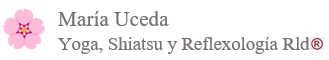pie de artículo